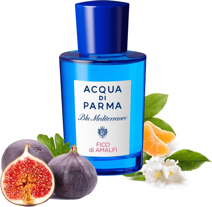 Blu Mediterraneo Fico di Amalfi by Acqua di Parma